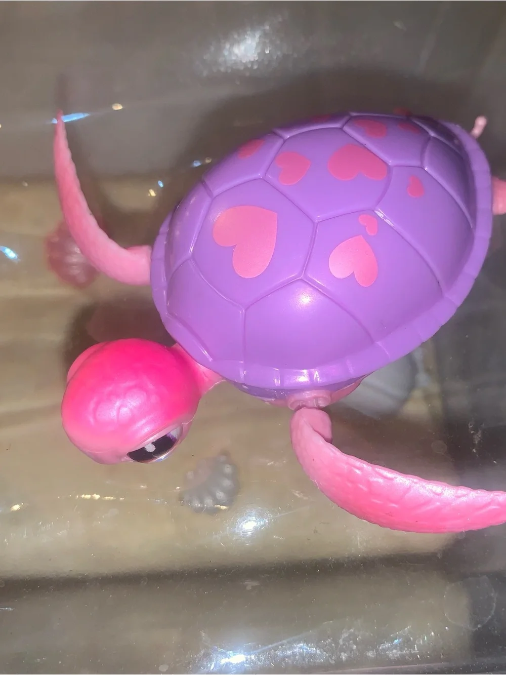 Pets alive mama turtle swimming pets complete set